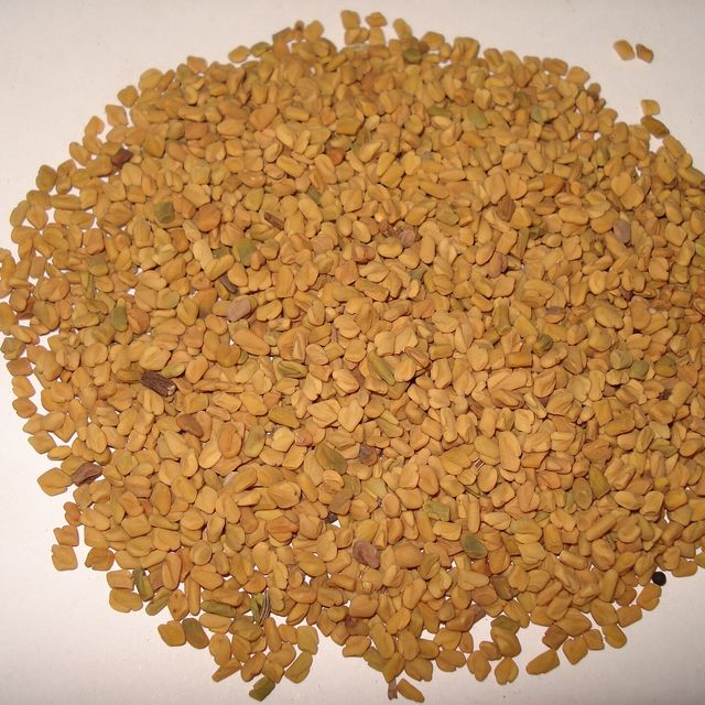 Golden fenugreek seeds