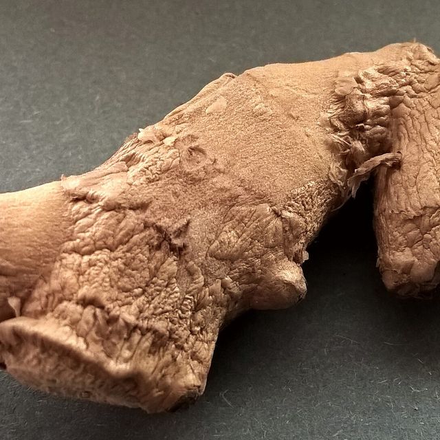 Fresh ginger root
