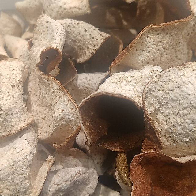 Dried orange peel